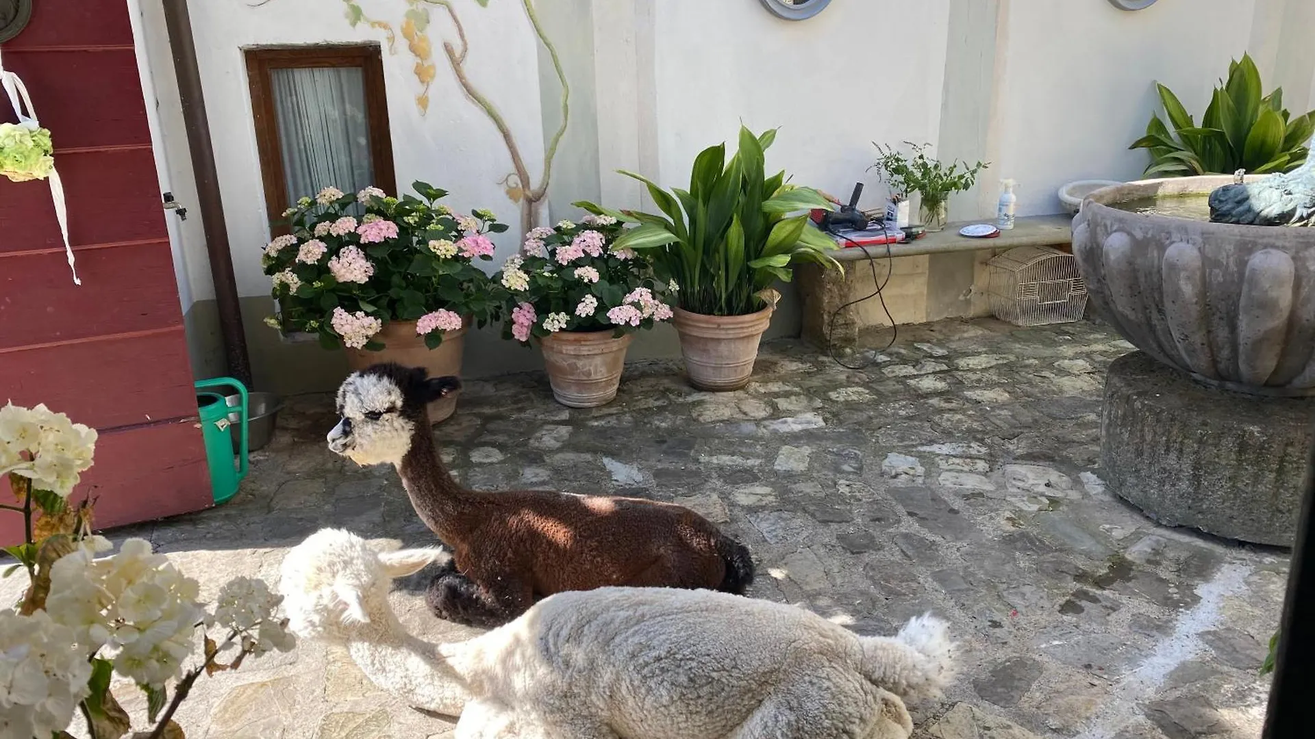 Villa Rignana Chianti Estate, Pool, Tennis,Cook Greve in Chianti Κατάλυμα σε φάρμα