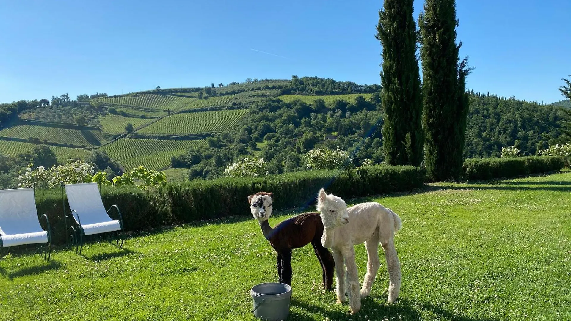 Villa Rignana Chianti Estate, Pool, Tennis,Cook Greve in Chianti Italia